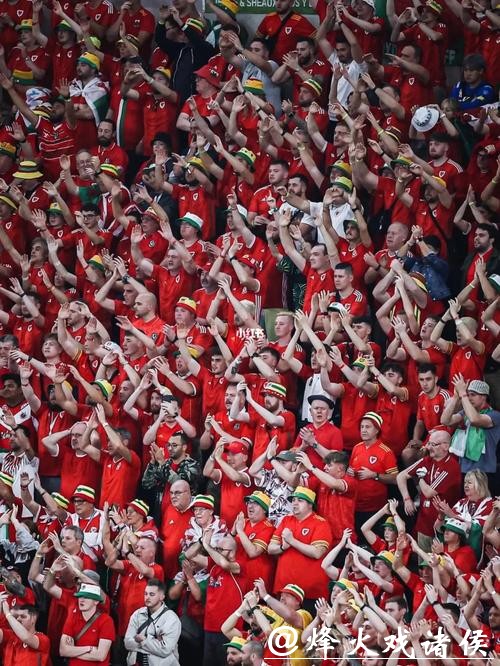 世界杯外围赛球迷不可错过的瞬间