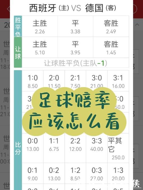世界杯买球赔率怎么看实用讲解 世界杯买球赔率怎么看实用讲解